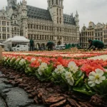 Fleur bruxelles grand place : tapis floral 1680 m²